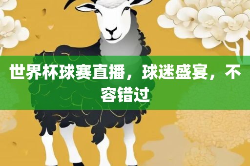 世界杯球赛直播，球迷盛宴，不容错过