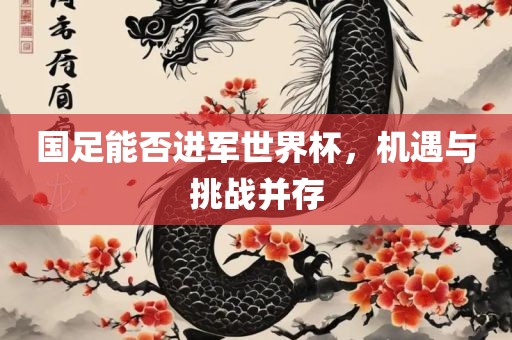 国足能眉山市正发家政服务有限公司否进军世界杯，机遇与挑战并存
