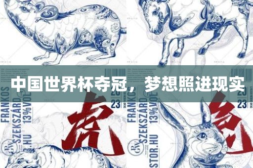 中国世界杯夺冠，梦想照进现实眉山市正发家政服务有限公司