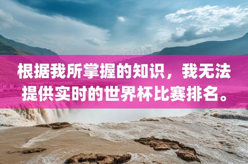 根据我所掌握的知识，我无法提供实时的世界杯比赛排名。