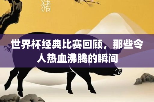 世界杯经典比赛回顾，那些令人热血沸腾的瞬间眉山市正发家政服务有限公司