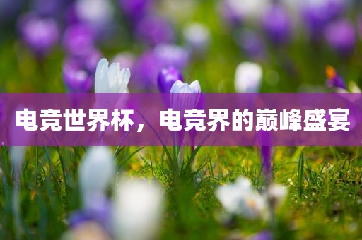 电竞世界杯，电竞界的巅峰盛宴