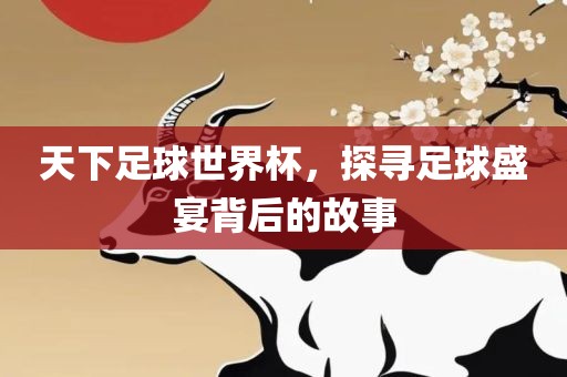 足球盛宴故事 第2页