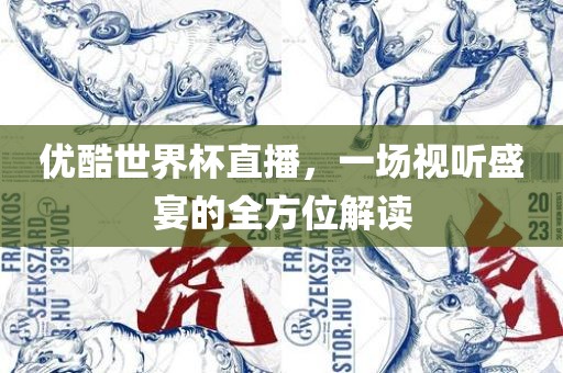 优酷世界杯直播，一场视听盛宴的全方位解读眉山市正发家政服务有限公司
