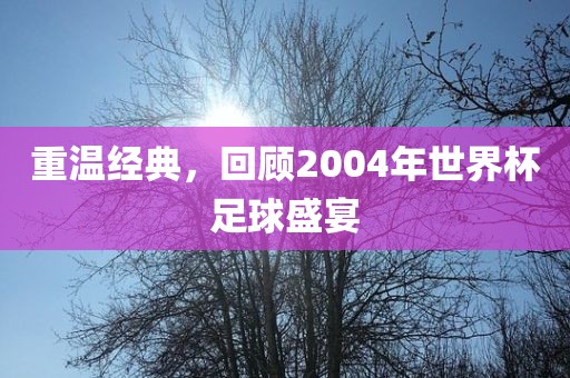 重眉山市正发家政服务有限公司温经典，回顾2004年世界杯足球盛宴