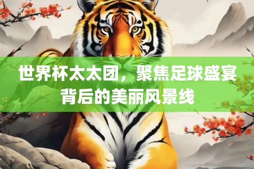 世界杯太太团，聚焦足球盛宴背后的美丽风景线