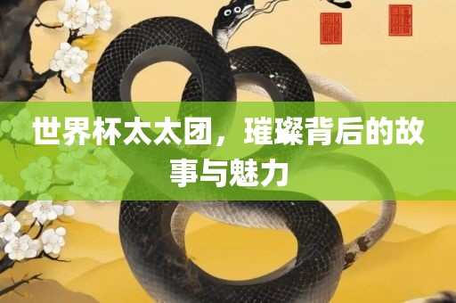 世界杯太太团，璀璨背后的故事与魅力