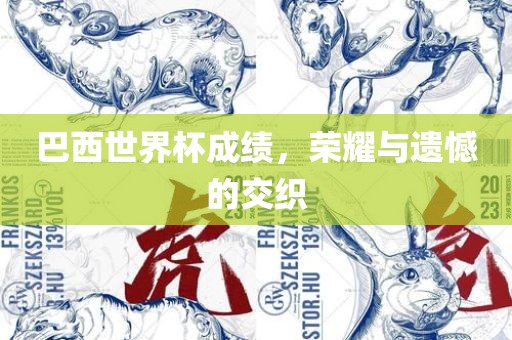 巴西世界杯成绩，荣耀与遗憾的交织