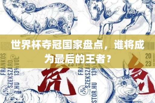 世界杯夺冠国家盘点，谁将成为最后的王者？