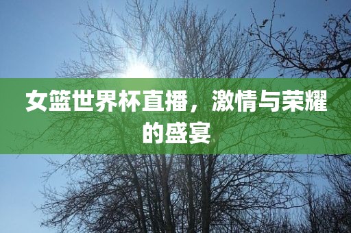 女篮世界杯直播，激情与荣耀的盛宴