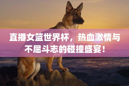 直播女篮世界杯，热血激情与不屈斗志的碰撞盛宴！