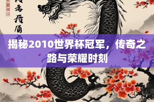 揭秘2010世界杯冠军，传奇之路与荣耀时刻