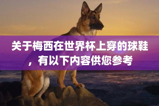 关于梅西在世界杯上穿的球鞋，有以下内容供您参考