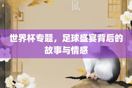 世界杯专题，足球盛宴背后的故事与情感