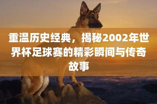 重温历史经典，揭秘2002年世界杯足球赛的精彩瞬间与传奇故事