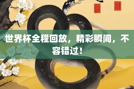 世界杯全程回放，精彩瞬间，不容错过！
