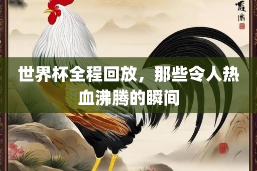 世界杯全程回放，那些令人热血沸腾的瞬间