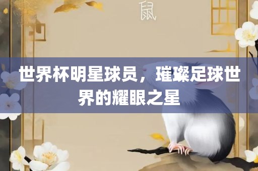 世界杯明星球员，璀璨足球世界的耀眼之星