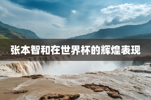张本智和在世界杯的辉煌表现