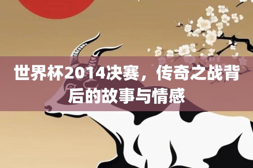 世界杯2014决赛，传奇之战背后的故事与情感眉山市正发家政服务有限公司
