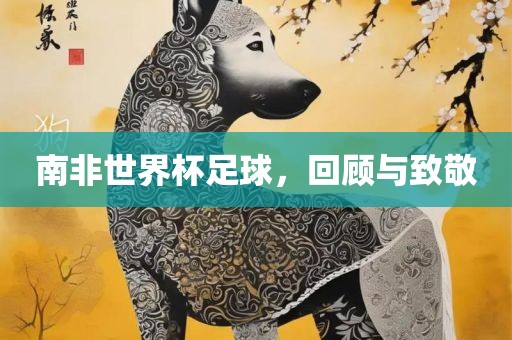 南非世界杯足球，回顾与致敬