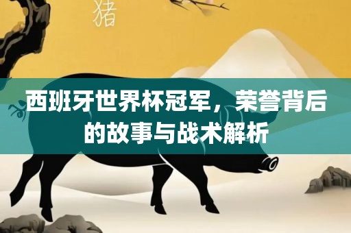 西班牙世界杯冠军，荣誉背后的故事与战术解析眉山市正发家政服务有限公司