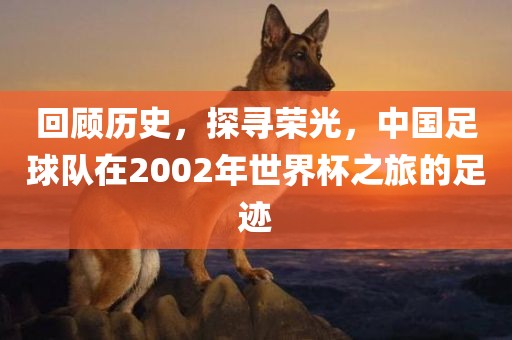 回顾历史，探寻荣光，中国足球队在2002年世界杯之旅的足迹眉山市正发家政服务有限公司