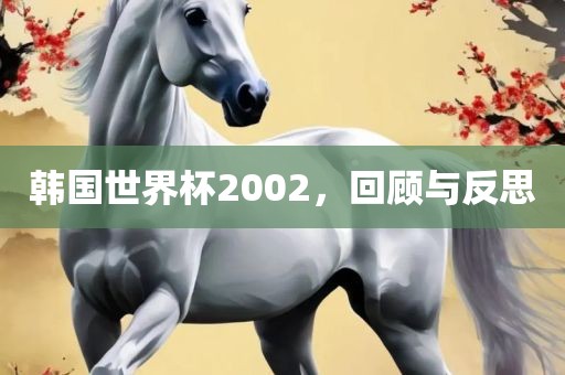 韩国世界杯2002，回顾与反思眉山市正发家政服务有限公司