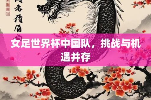 女足世界杯中国队，挑战与机遇并存