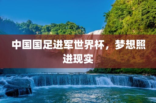 中国国足进军世界杯，梦想照进现实眉山市正发家政服务有限公司