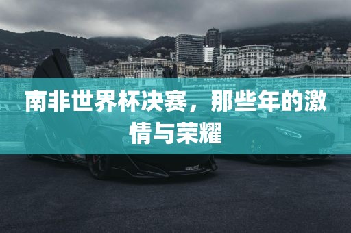 南非世界杯决赛，那些年的激情与荣耀眉山市正发家政服务有限公司