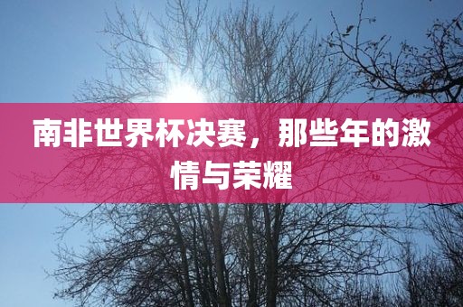 南非世界杯决赛，那些年的激情与荣耀眉山市正发家政服务有限公司