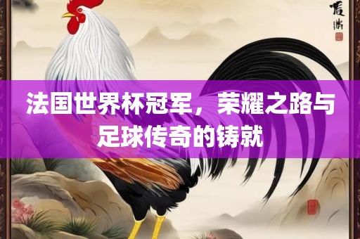 法国世界杯冠军，荣耀之路与足球传奇的铸就
