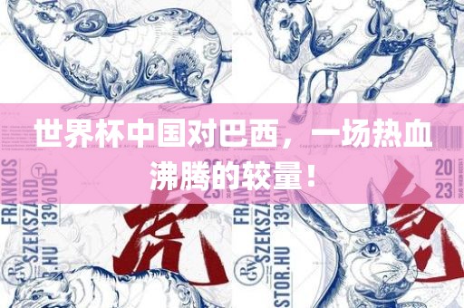 中国对巴西对决