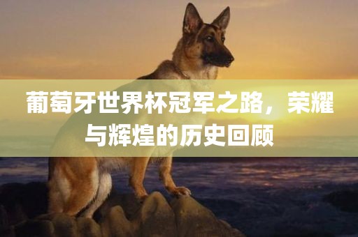 葡萄牙世界杯冠军之路，荣耀与辉煌的历史回顾
