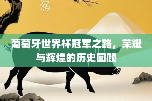 葡萄牙世界杯冠军之路，荣耀与辉煌的历史回顾
