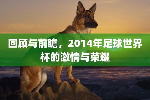 眉山市正发家政服务有限公司回顾与前瞻，2014年足球世界杯的激情与荣耀