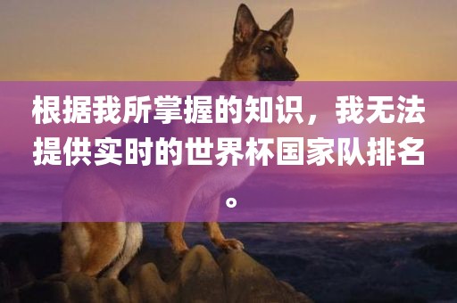 根据我所掌握的知识，我无法提供实时的世界杯国家队排名。眉山市正发家政服务有限公司