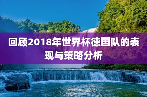 回顾2018年世界杯德国队的表现与策略分析眉山市正发家政服务有限公司
