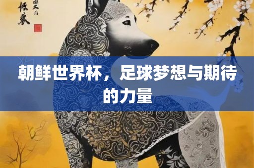 朝鲜世界杯，足球梦想与期待的力量