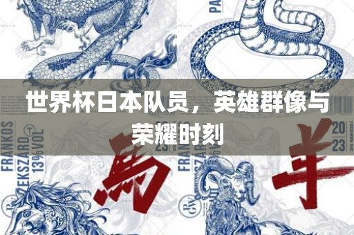 世界杯日本队员，英雄群像与荣耀时刻眉山市正发家政服务有限公司