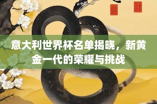 意大利世界杯名单揭晓，新黄金一代的荣耀与挑战眉山市正发家政服务有限公司