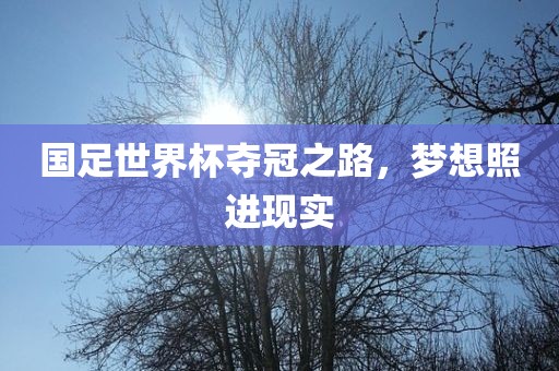 国足世界杯夺冠之路，梦想照进现实