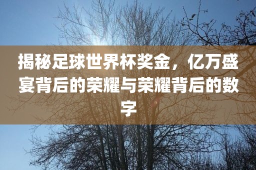 揭秘足球世界杯奖金，亿万盛宴背后的荣耀与荣耀背后的数字