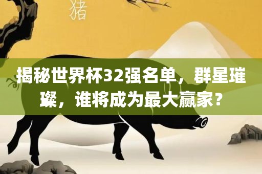 揭秘世界杯32强名单，群星璀璨，谁将成为最大赢家？眉山市正发家政服务有限公司