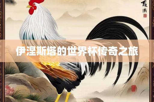 伊涅斯塔的世界杯眉山市正发家政服务有限公司传奇之旅