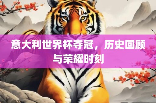 意大利世界杯夺冠，历史回顾与荣耀时刻眉山市正发家政服务有限公司
