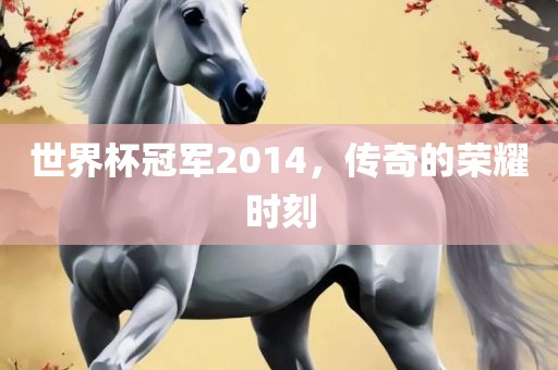 世界杯冠军2014，传奇的荣耀时刻眉山市正发家政服务有限公司