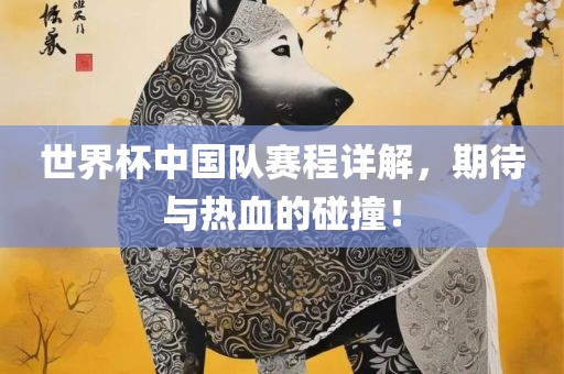 世界杯中国队赛程详解，期待与热血的碰撞！