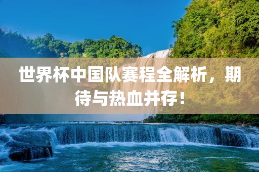 世界杯中国队赛程全解析，期待与热血并存！
